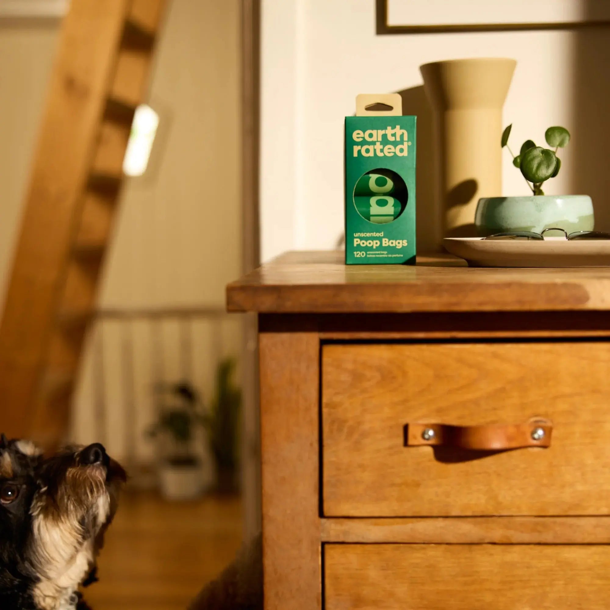 Eco-Friendly Dog Poop Bags, Ultra Thick and Leak Proof Dog Waste Bags, Unscented, 60 Count