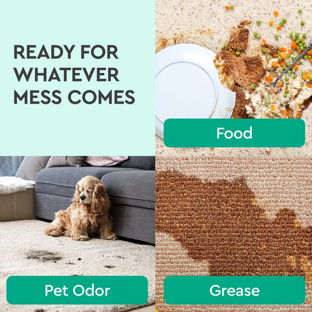 Instant Spot Remover Puracy