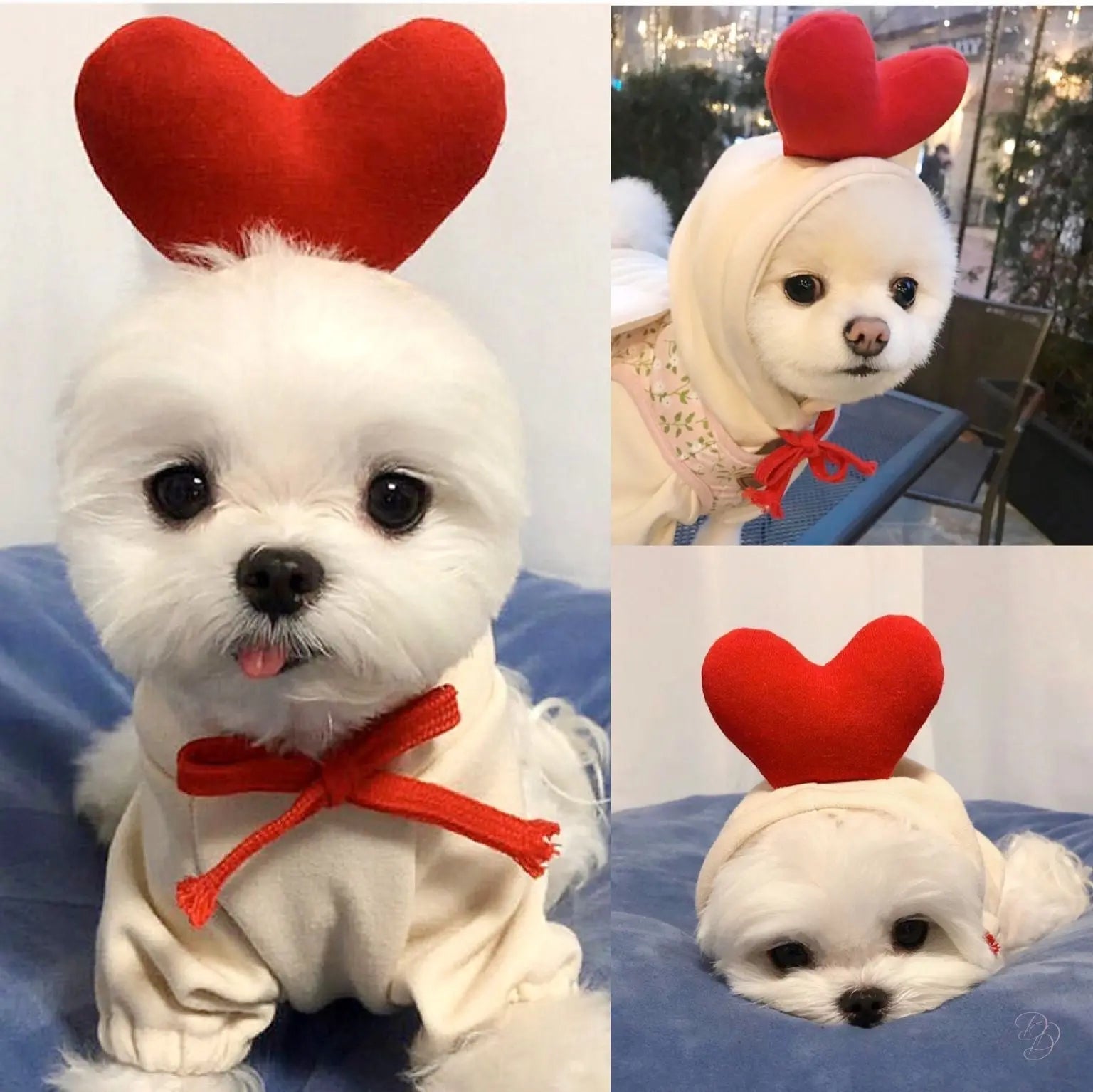 Fruit Print Dog Hoodie for Small Dogs | Soft Fleece Winter Puppy Clothes | Warm Pet Costume for Chihuahua & Frenchie Puracy