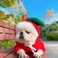 Fruit Print Dog Hoodie for Small Dogs | Soft Fleece Winter Puppy Clothes | Warm Pet Costume for Chihuahua & Frenchie Puracy