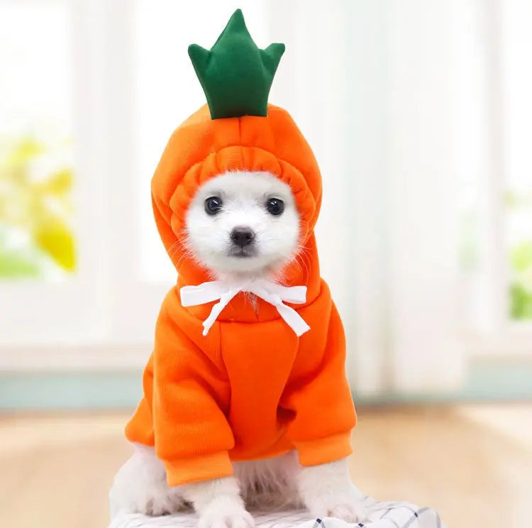 Fruit Print Dog Hoodie for Small Dogs | Soft Fleece Winter Puppy Clothes | Warm Pet Costume for Chihuahua & Frenchie Puracy