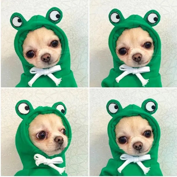 Fruit Print Dog Hoodie for Small Dogs | Soft Fleece Winter Puppy Clothes | Warm Pet Costume for Chihuahua & Frenchie Puracy
