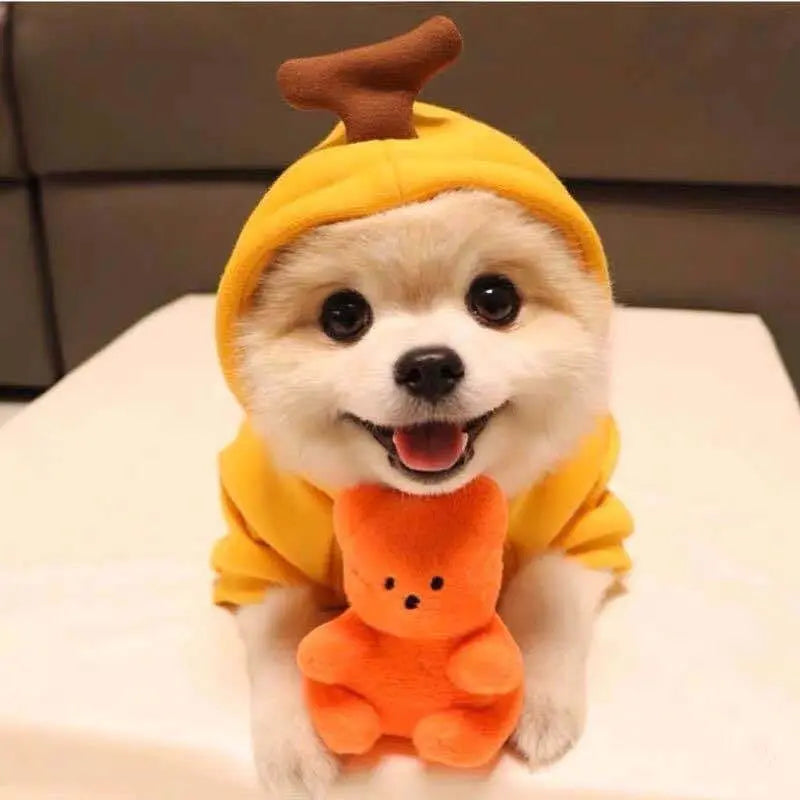 Fruit Print Dog Hoodie for Small Dogs | Soft Fleece Winter Puppy Clothes | Warm Pet Costume for Chihuahua & Frenchie Puracy