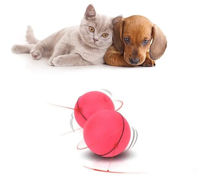 360° Smart Interactive Cat Toy Ball | Automatic LED Rolling Ball with Catnip CJ