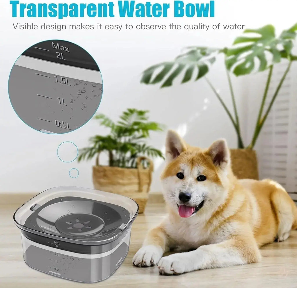 "The Dazzling 2L No-Spill Slow-Feeder: Hydration Made Spotless" CJ