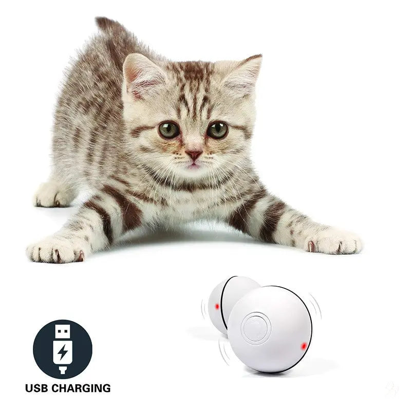 360° Smart Interactive Cat Toy Ball | Automatic LED Rolling Ball with Catnip CJ