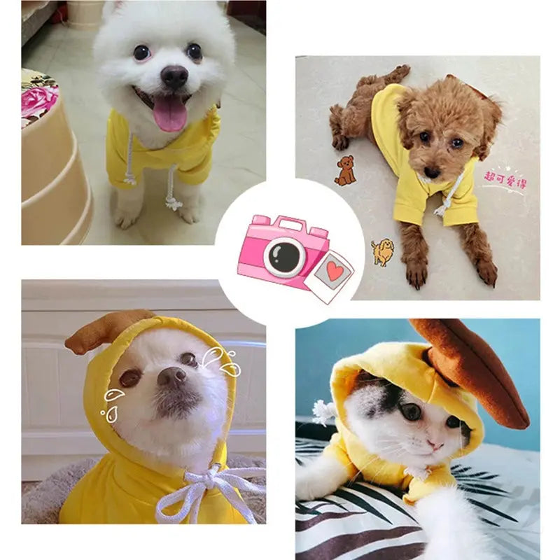 Fruit Print Dog Hoodie for Small Dogs | Soft Fleece Winter Puppy Clothes | Warm Pet Costume for Chihuahua & Frenchie Puracy