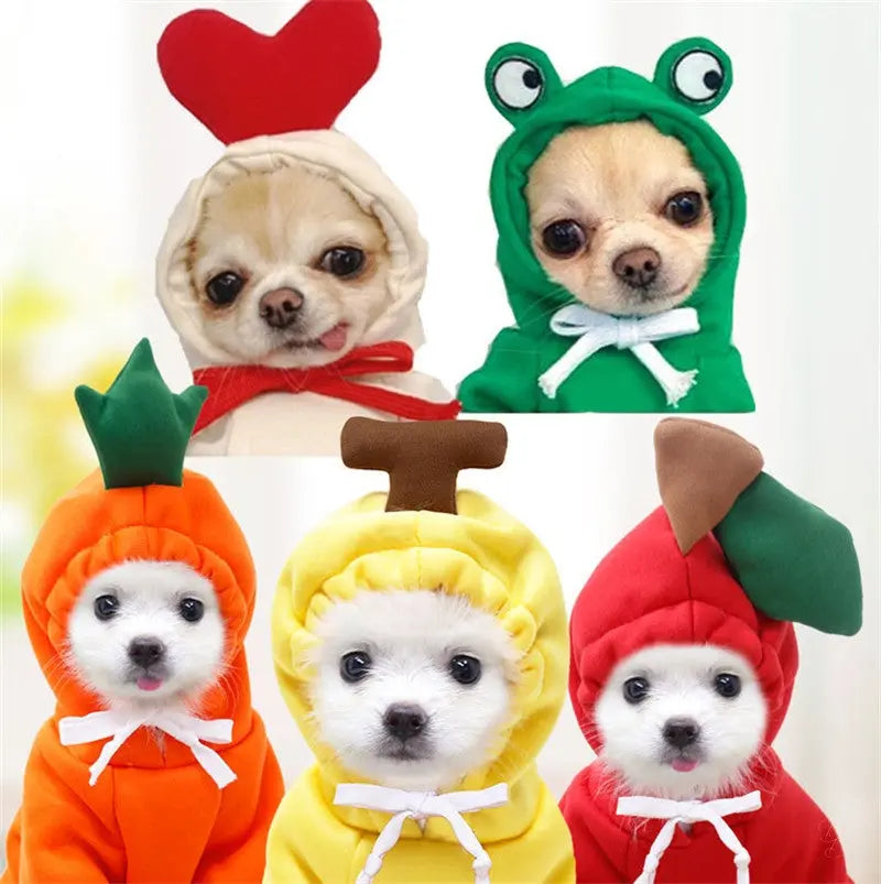 Fruit Print Dog Hoodie for Small Dogs | Soft Fleece Winter Puppy Clothes | Warm Pet Costume for Chihuahua & Frenchie Puracy