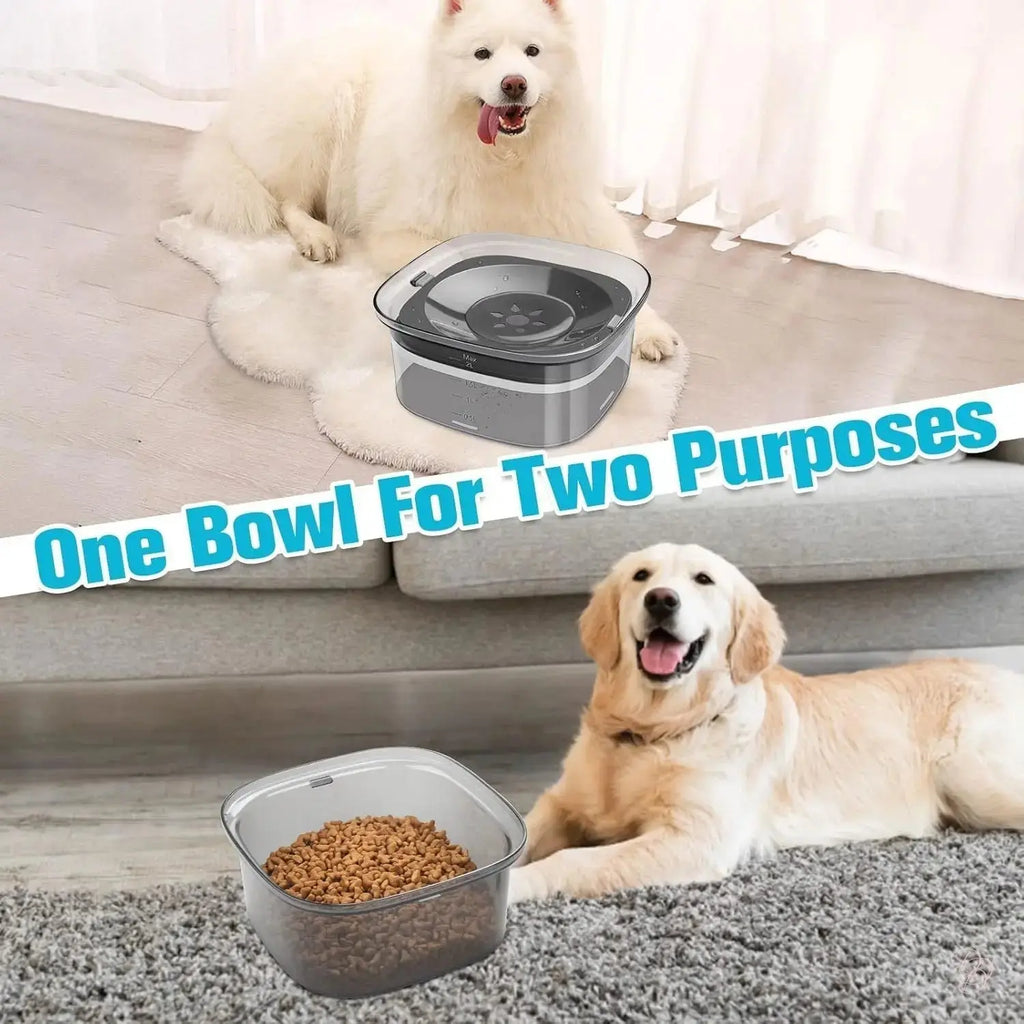"The Dazzling 2L No-Spill Slow-Feeder: Hydration Made Spotless" CJ