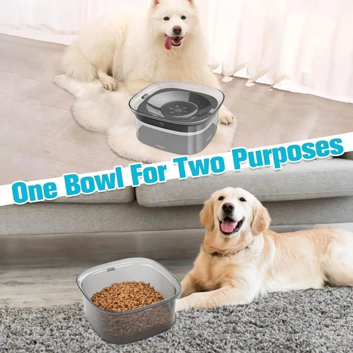"The Dazzling 2L No-Spill Slow-Feeder: Hydration Made Spotless" CJ